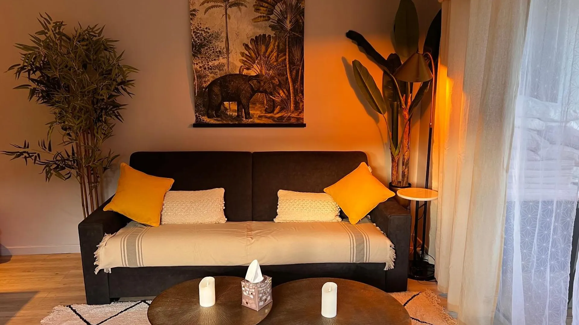 Zion Appartement Sxm Quarter of Orleans Apartment